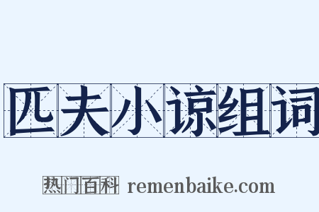 匹夫小谅组词是什么意思的图片